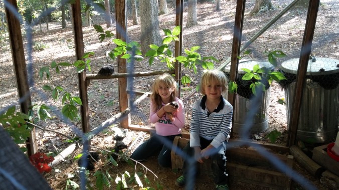 Sophie and William Hunt with chicks Oct 2015.jpg