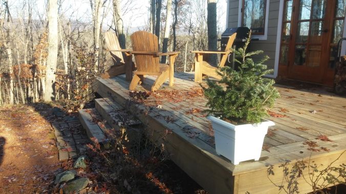 fir on cottage deck.jpg