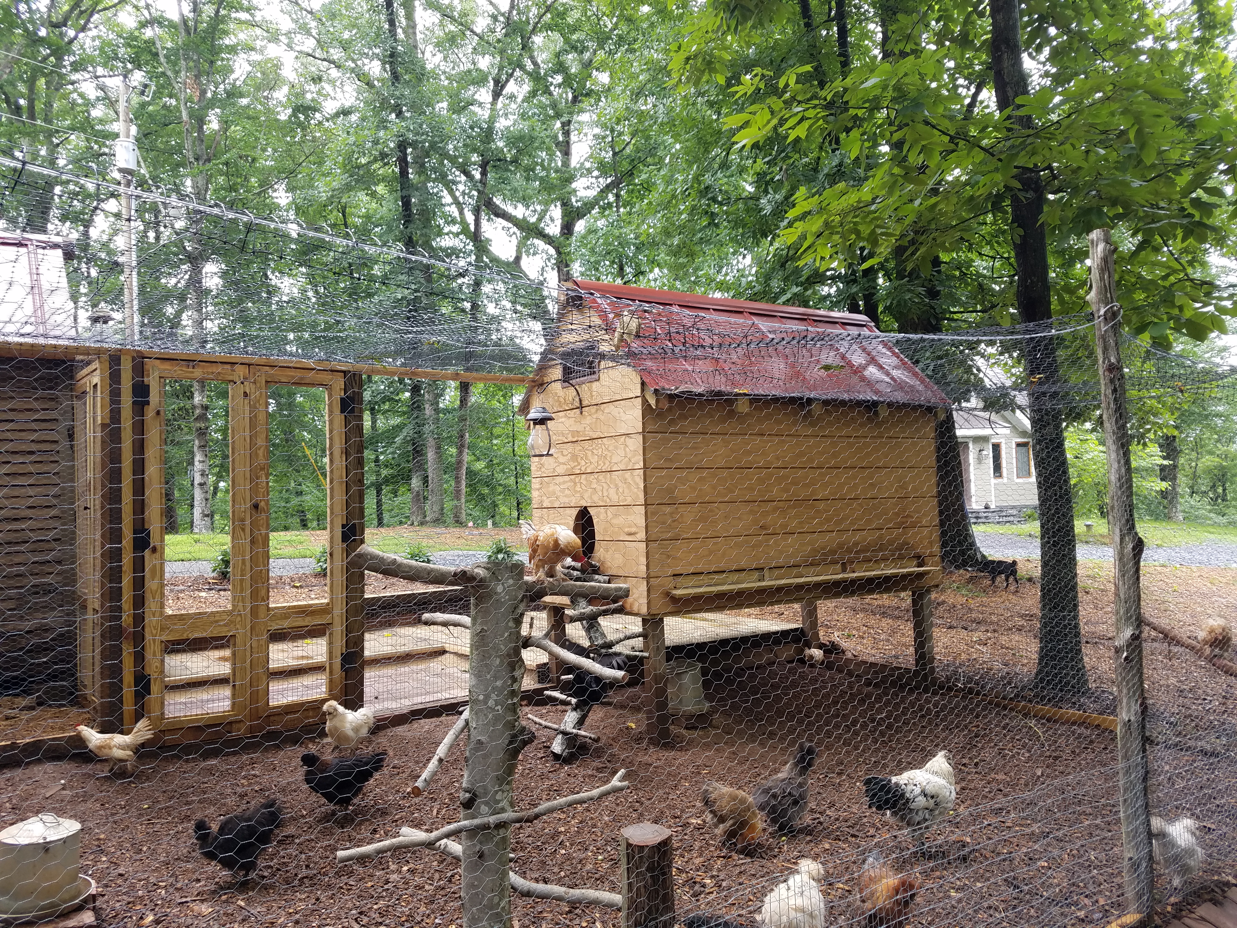 netting and fencing (1).jpg