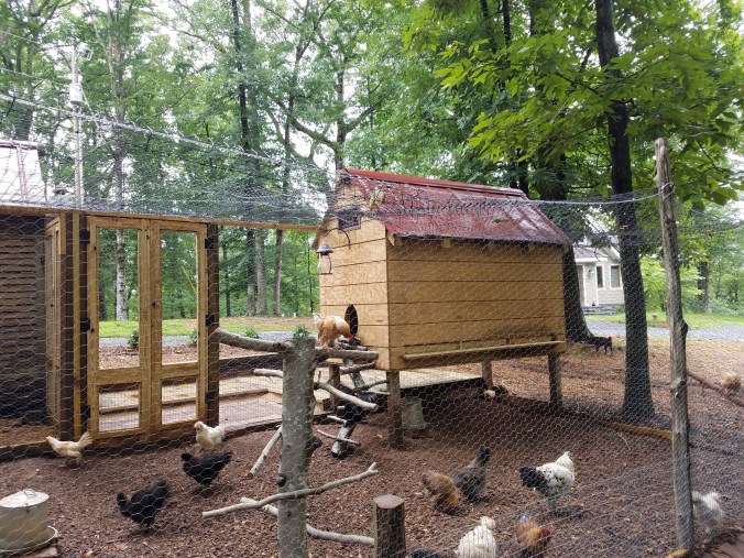 netting and fencing (1).jpg