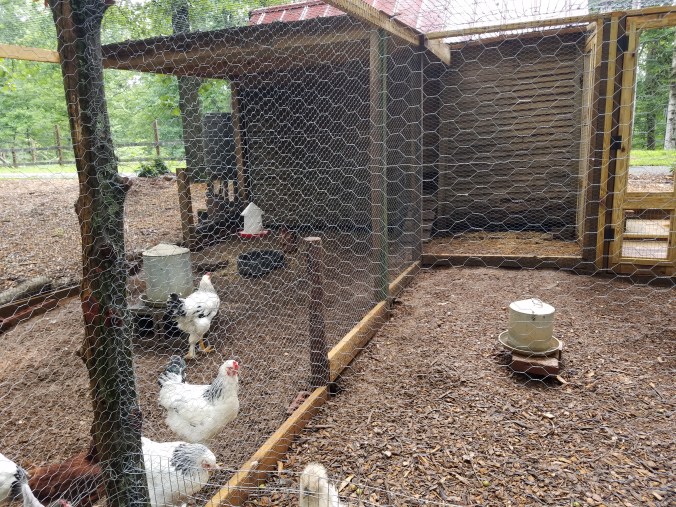 netting and fencing (12).jpg