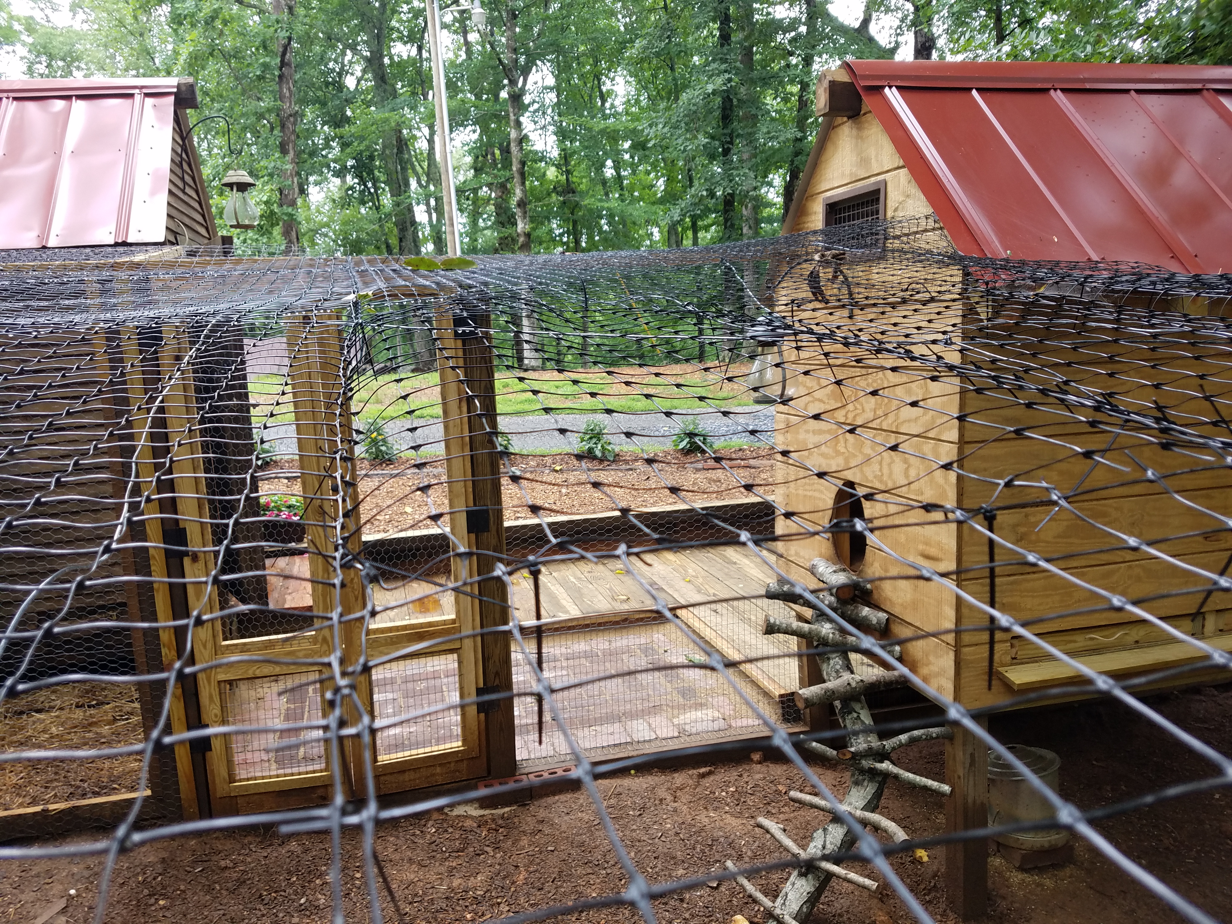 netting and fencing (5).jpg