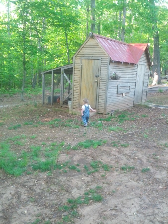 Rise at chicken coop.jpg