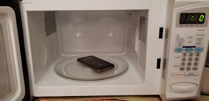 cell phone in microwave.jpg