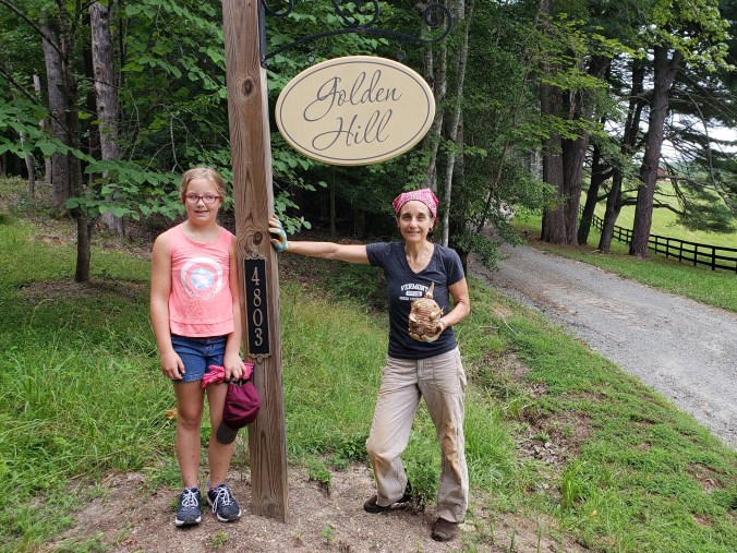 entrance1 before (2)