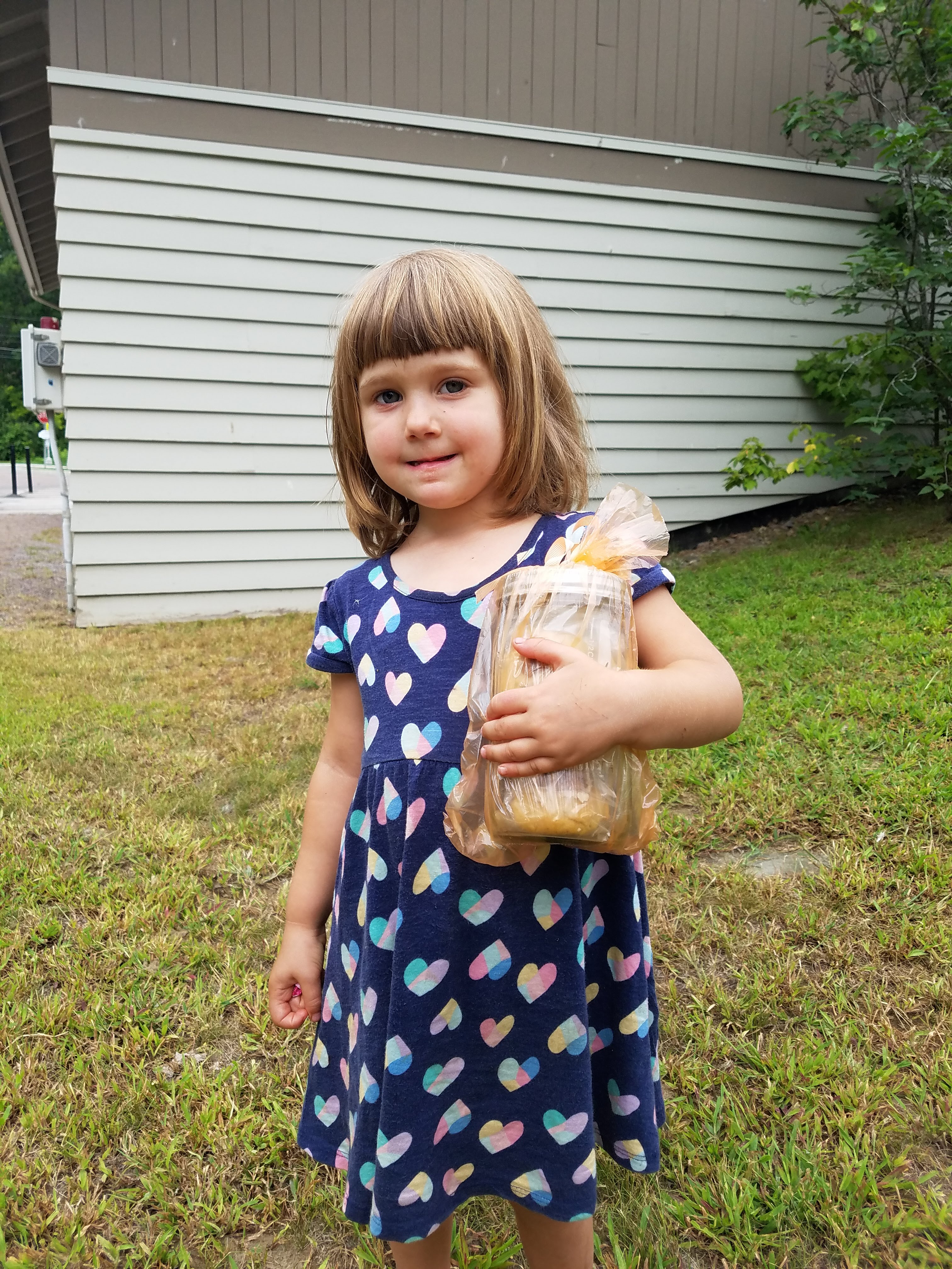 cookies from Lyn Boyce.jpg