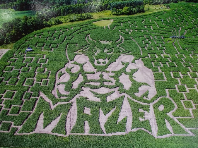 maze1 (2).jpg