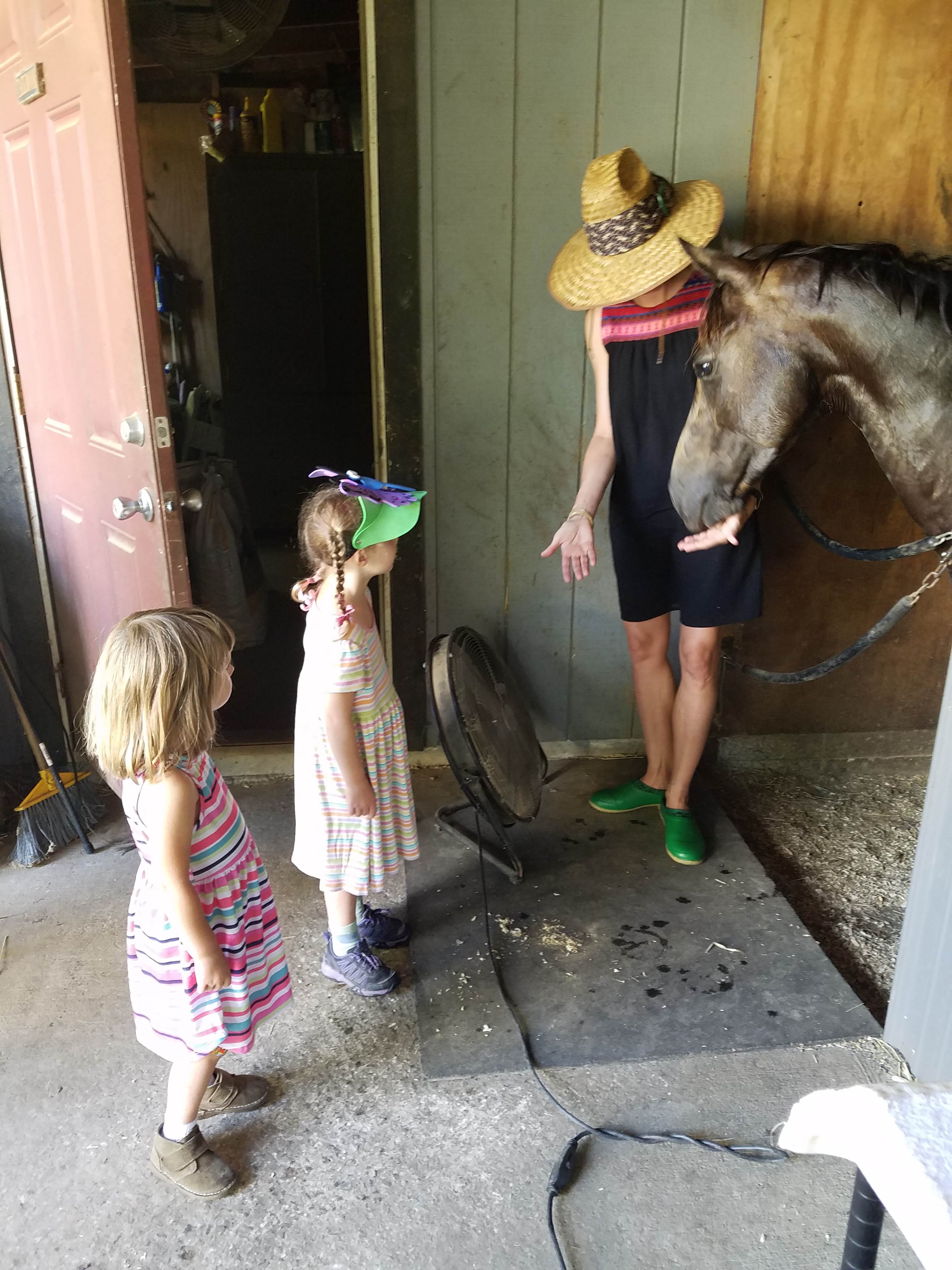 meeting the pony.jpg