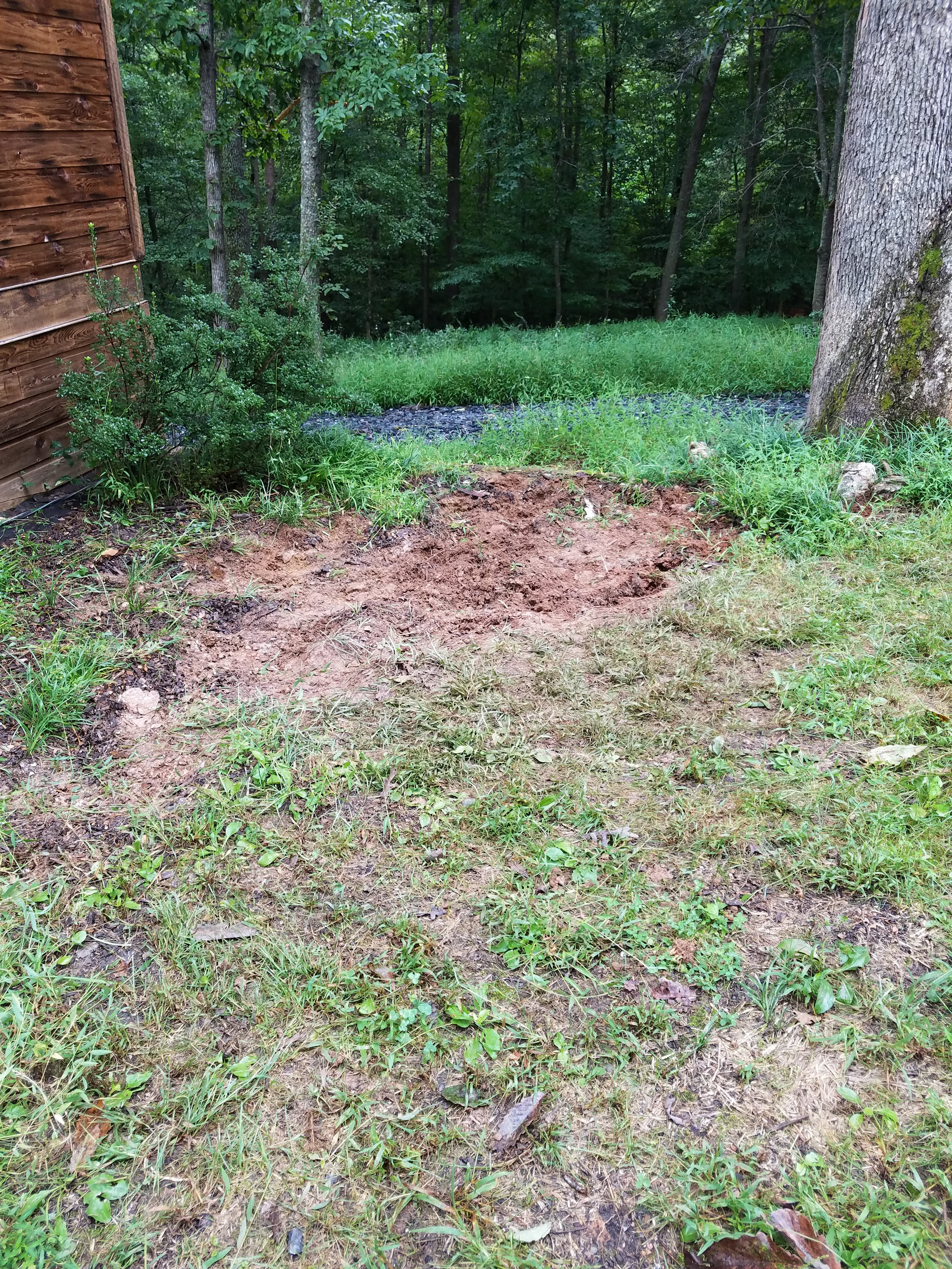 front garden dug out.jpg