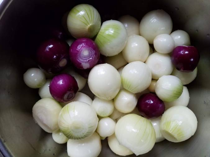 garden onions clean.jpg