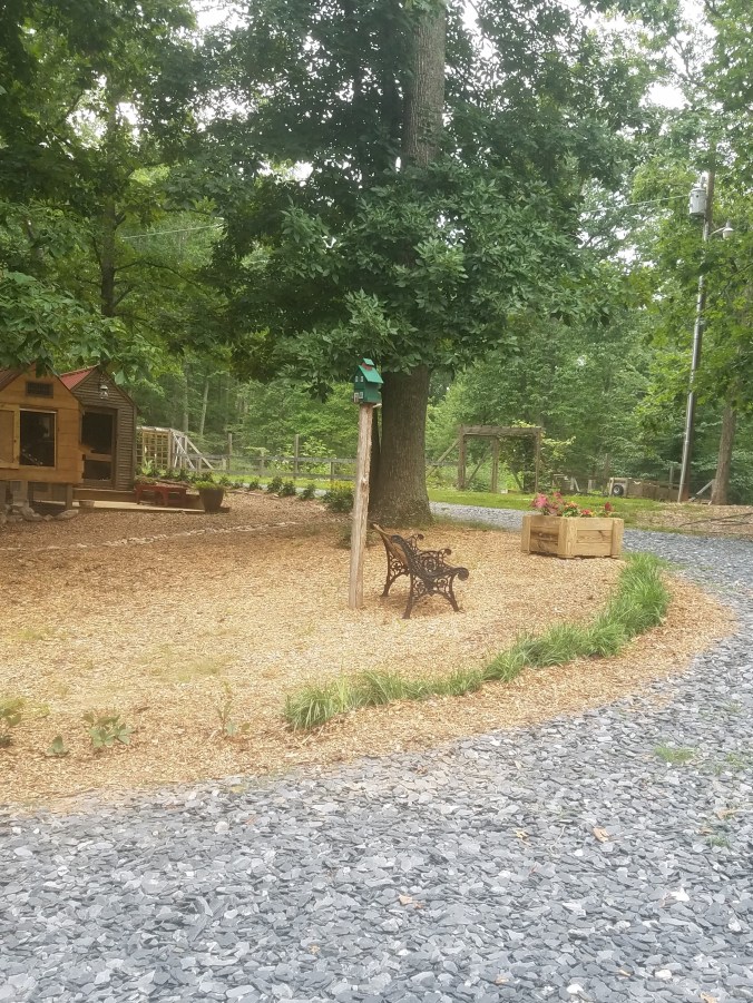 liriope on curve (2).jpg