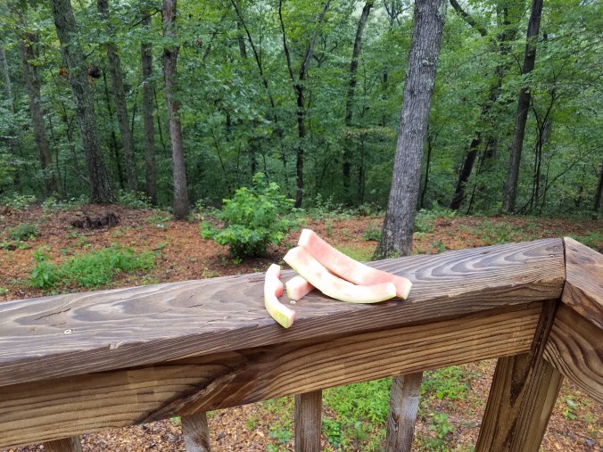 rinds on railing.jpg