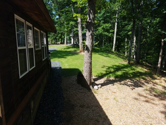 side yard in May.jpg