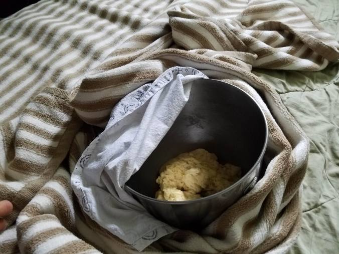 dough in bed1.jpg