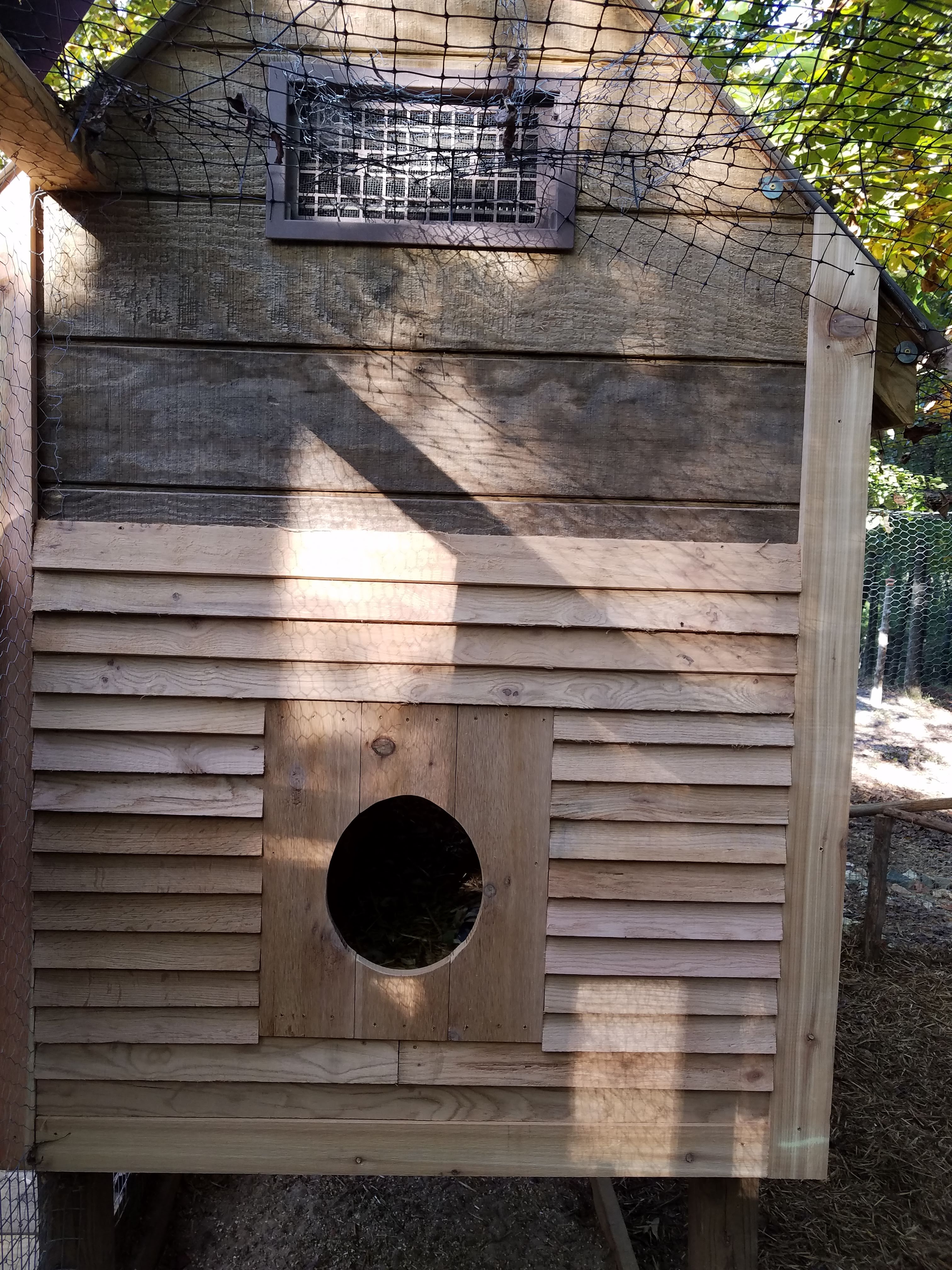 egg door framed2.jpg