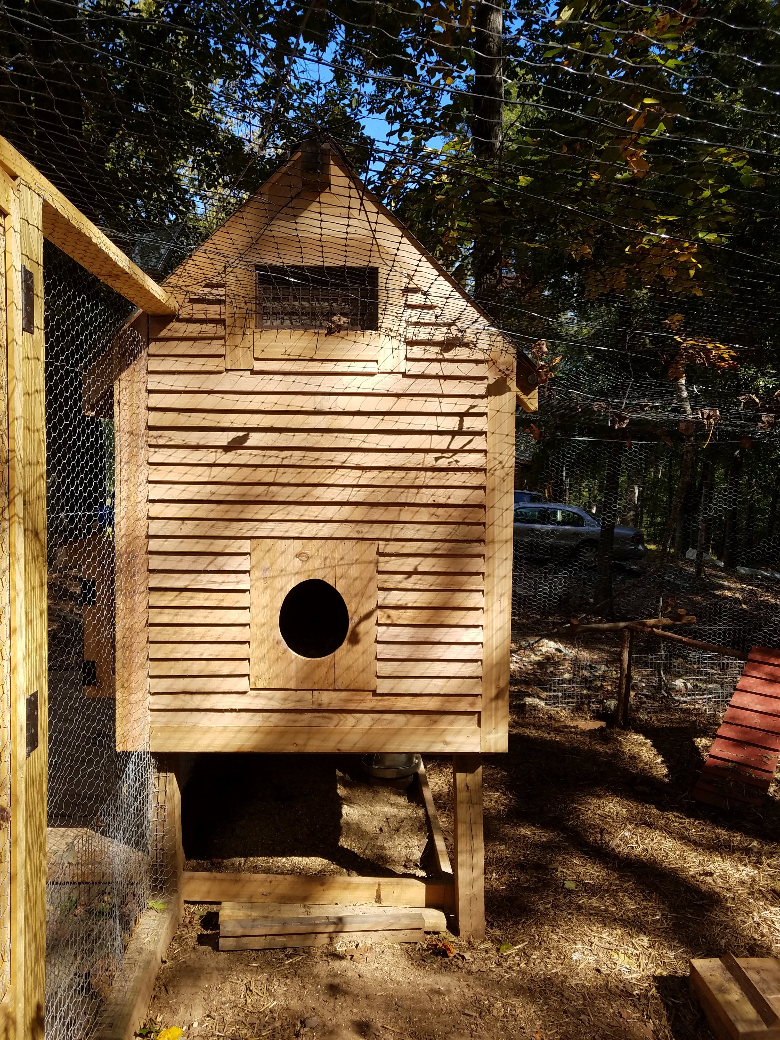 finished egg door.jpg