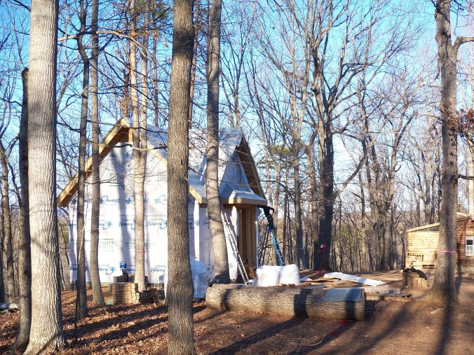 morning wrapped (2).jpg