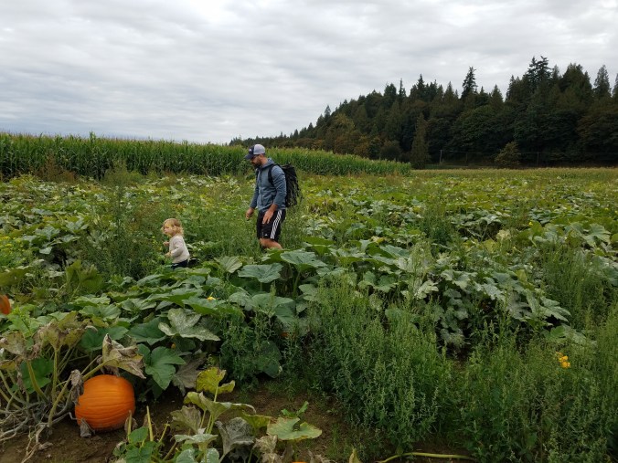 pumpkin patch Brad Piper2.jpg