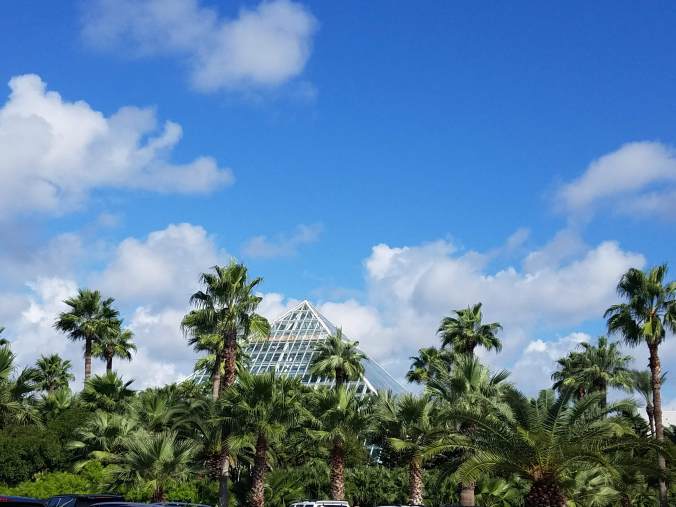 top of rainforest pyramid.jpg