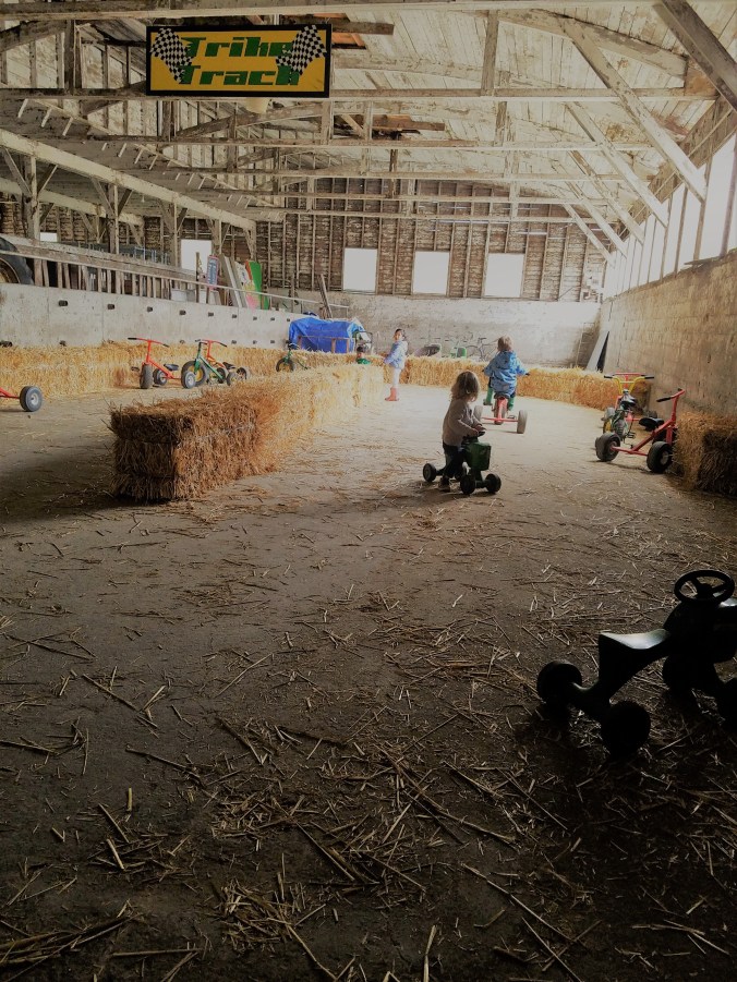 trike track (2).jpg
