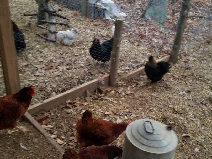 oh no here they come.jpg