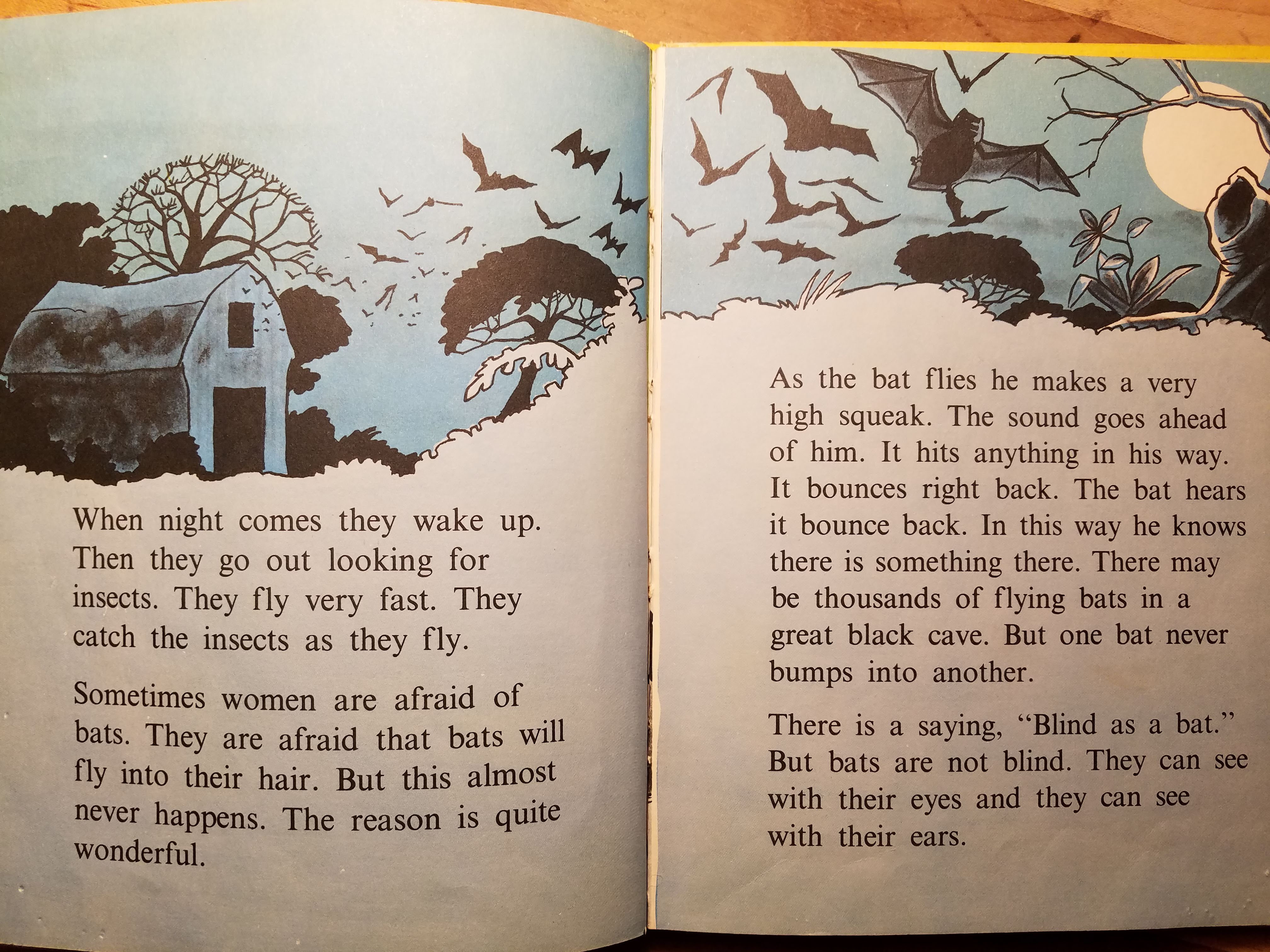 Animals Do the Strangest Things.jpg