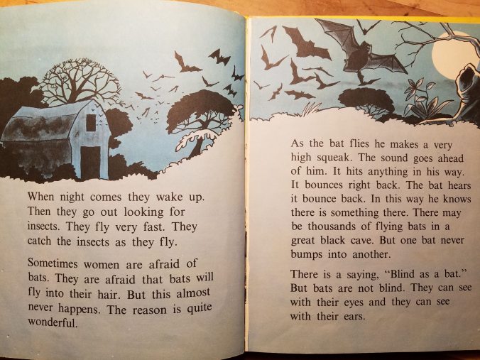 Animals Do the Strangest Things.jpg