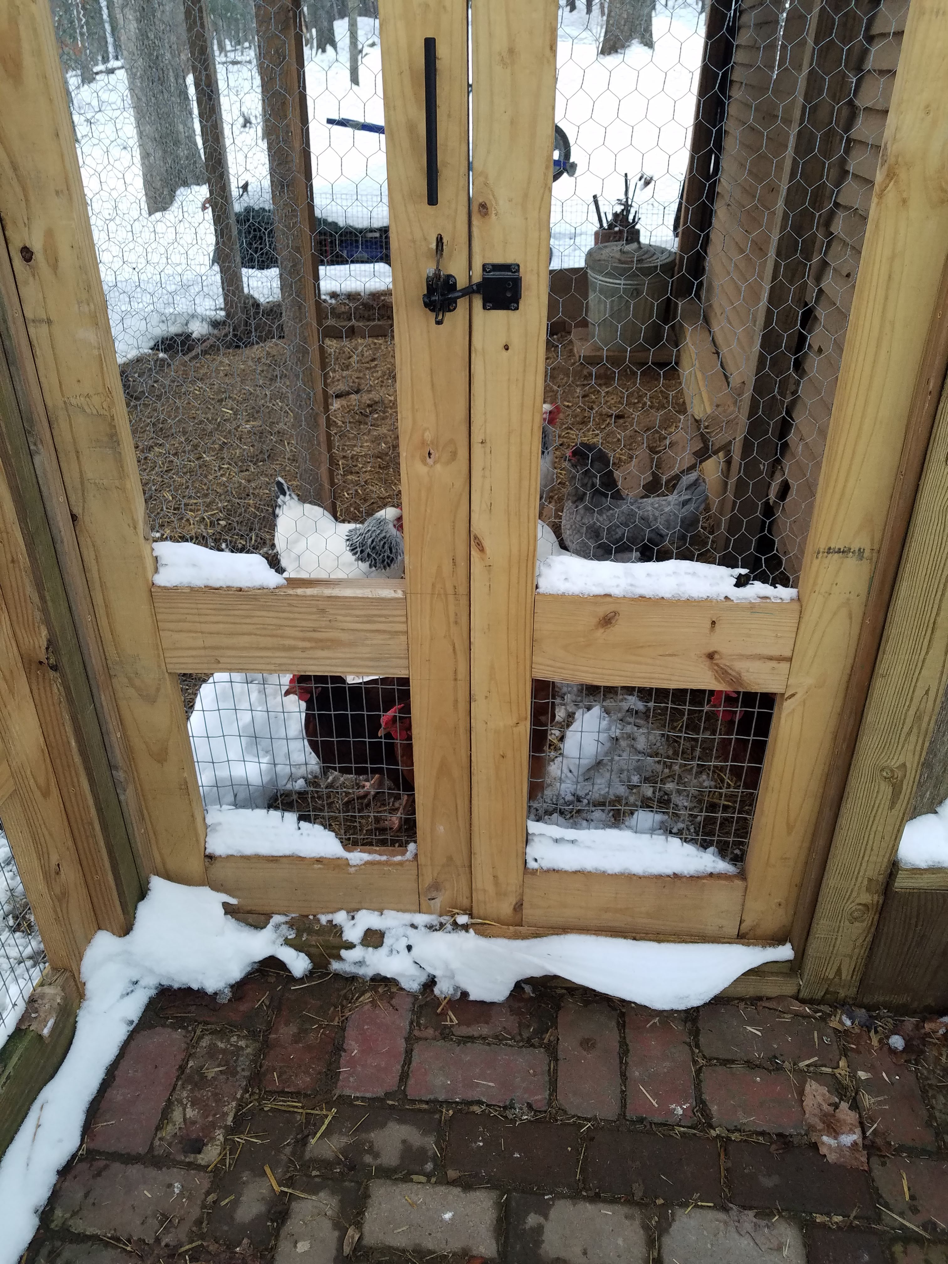 begging as usual.jpg