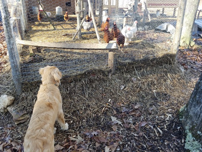 can't get enough.jpg