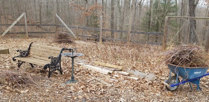 cut down cropped.jpg