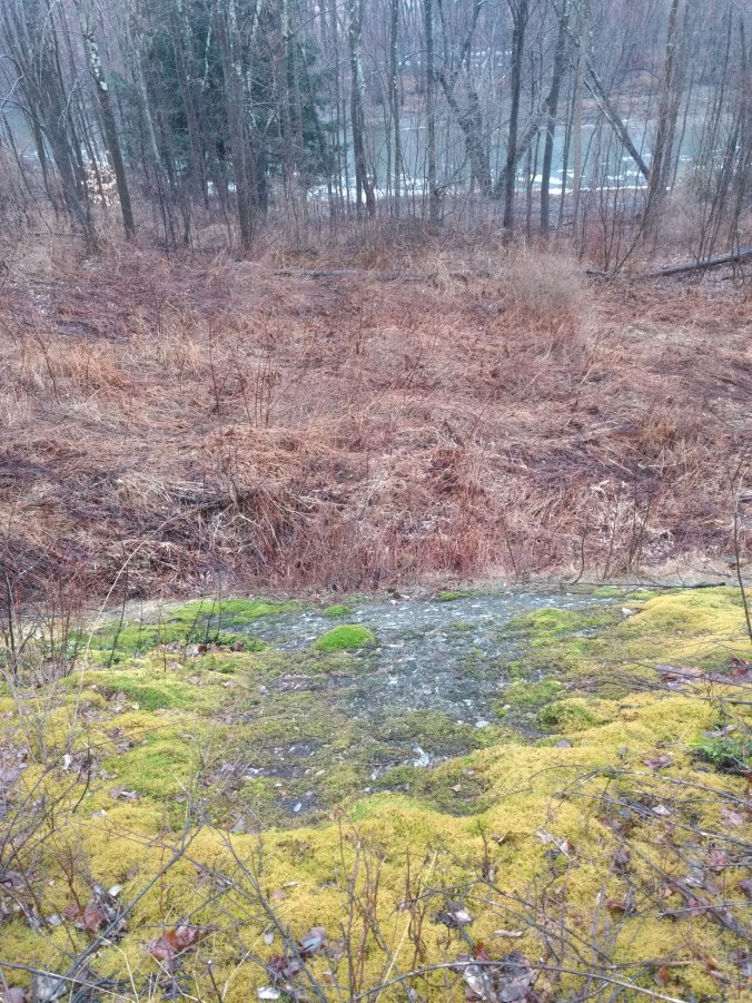 first view of river swoon.jpg