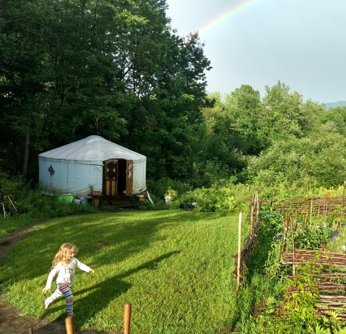 front yard cropped.jpg