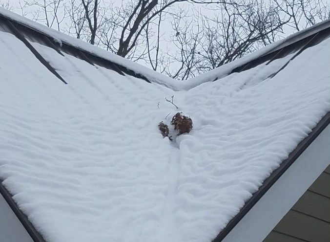 left roof cropped.jpg