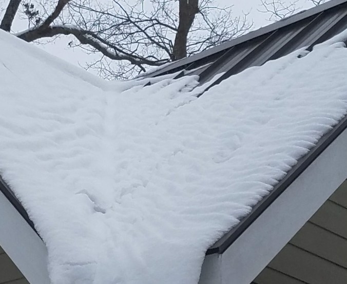 right roof cropped.jpg