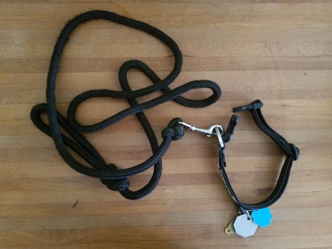 Coco's leash.jpg
