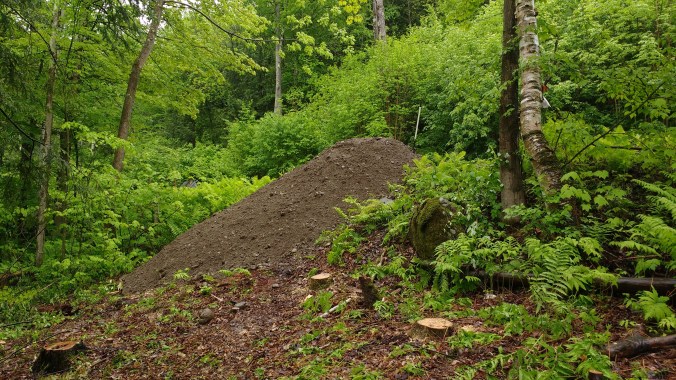 first load of fill dirt from below.jpg