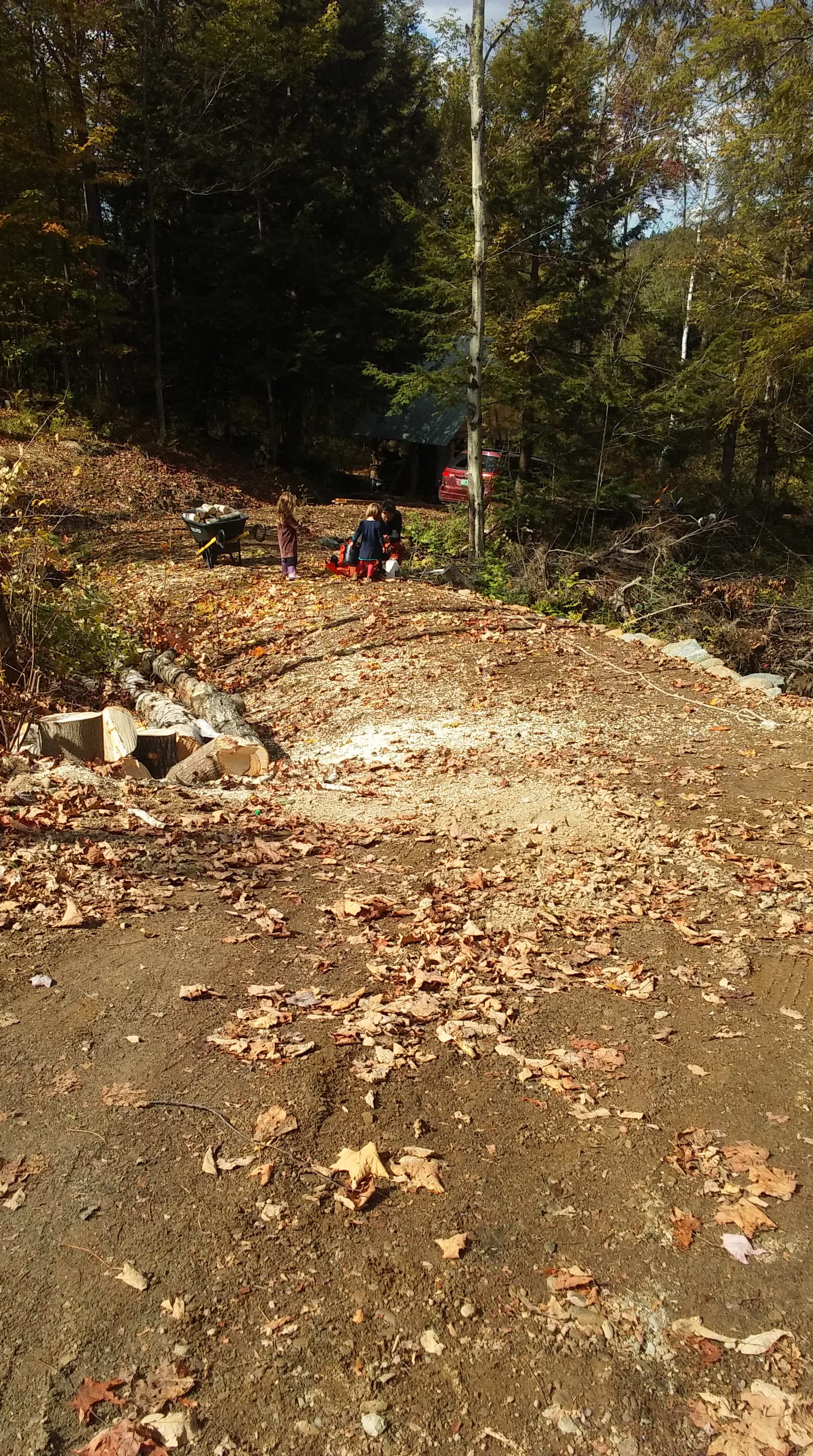 pre shingles and bricks.jpg