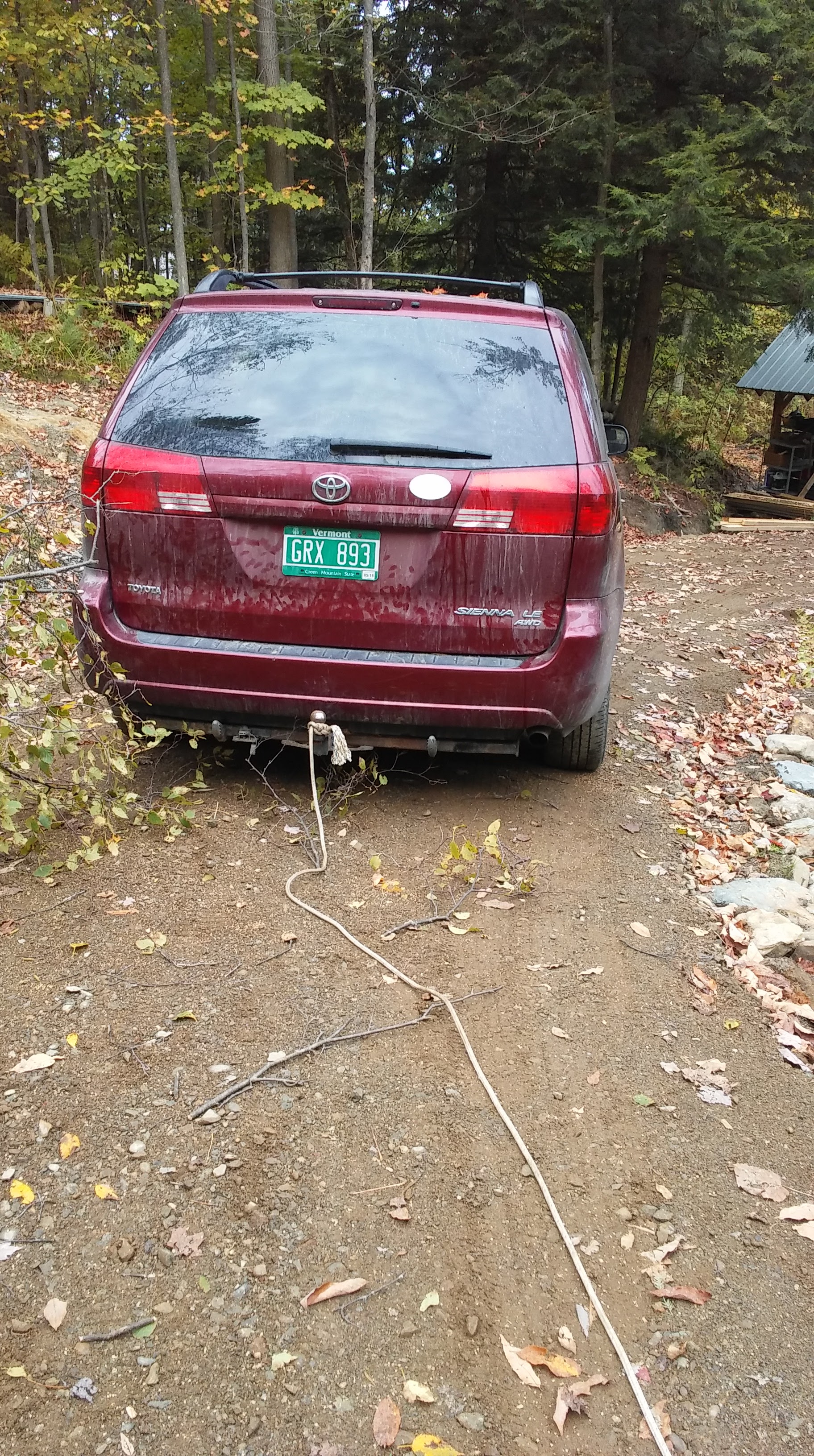 pulling tree down.jpg