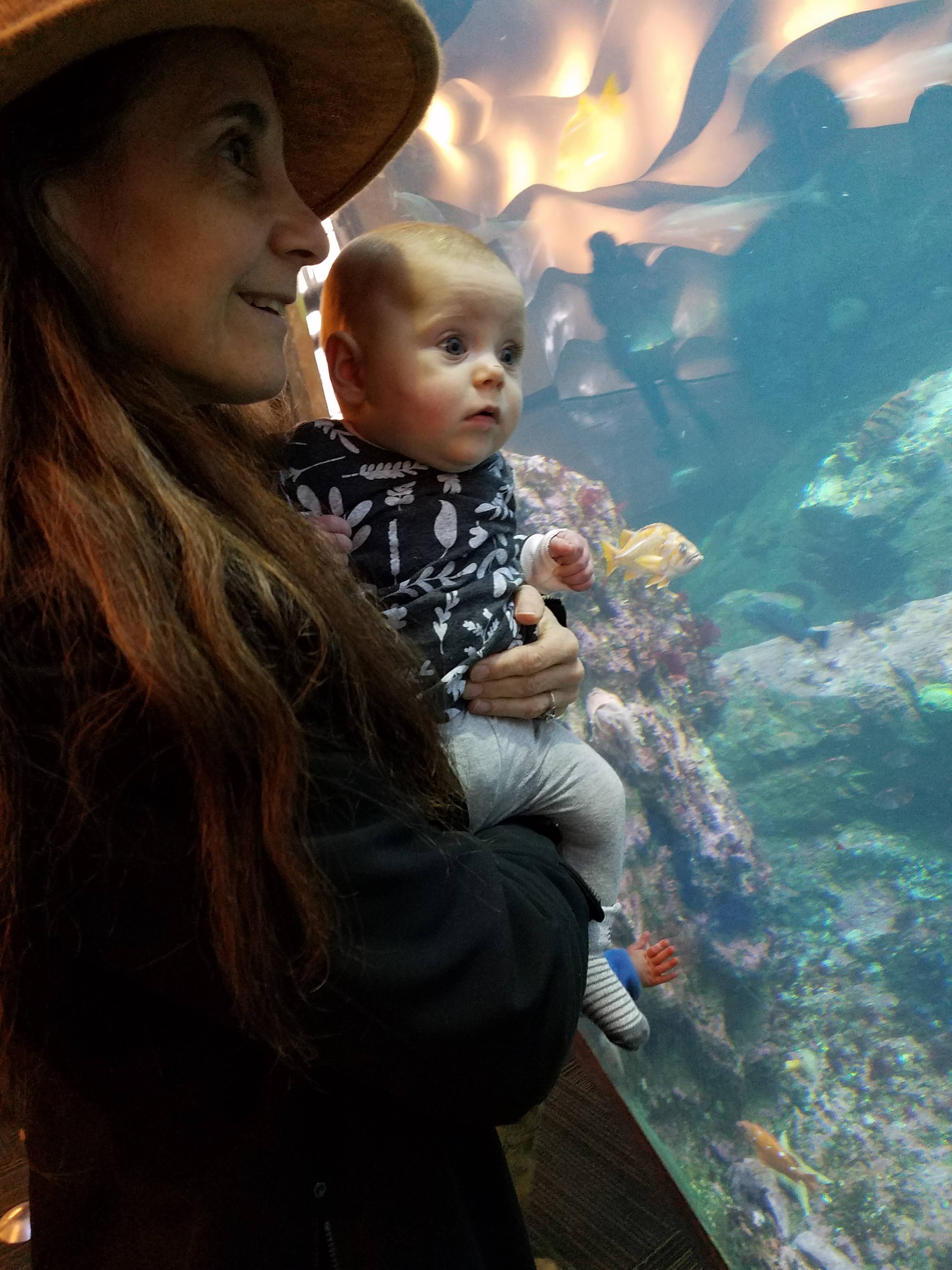 Zoe at aquarium.jpg