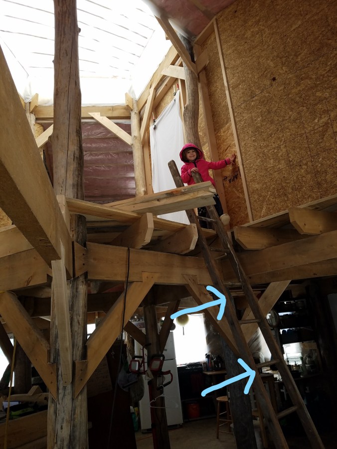 Eppie on stairs_LI.jpg