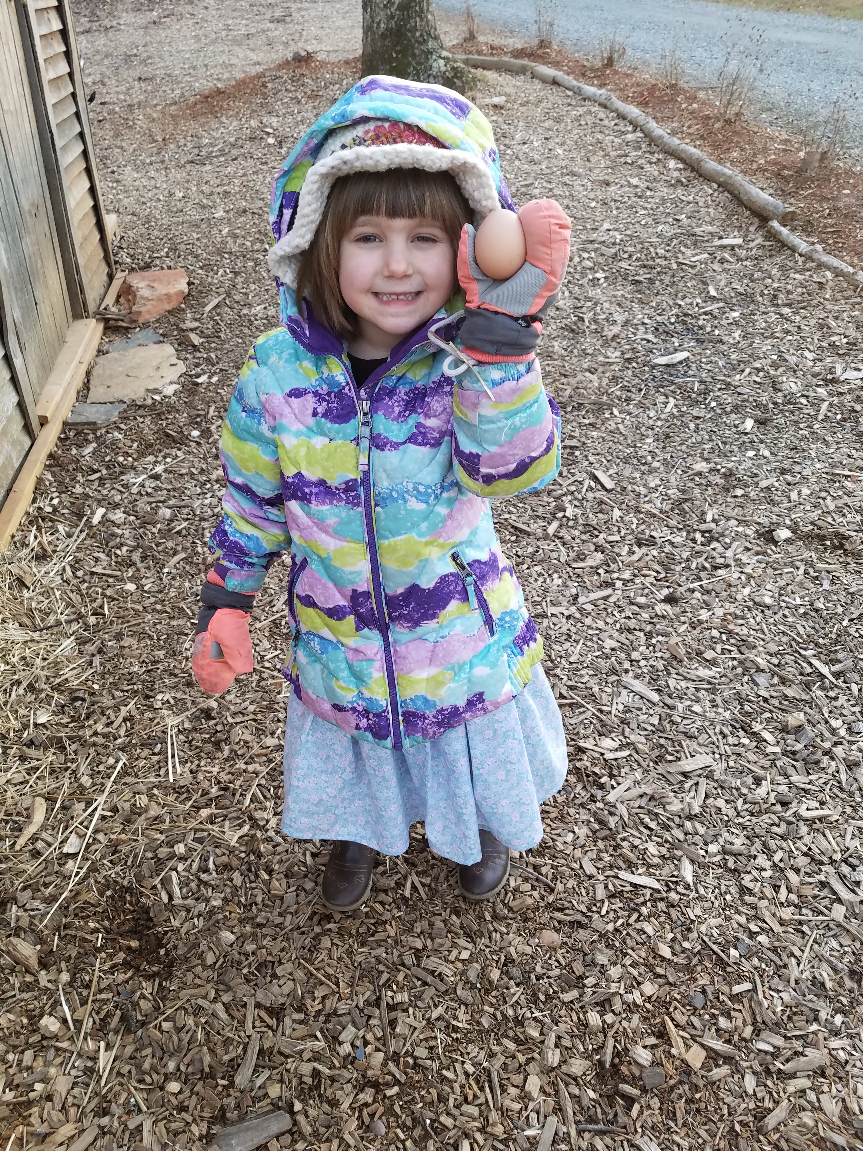 one of fourteen eggs today.jpg