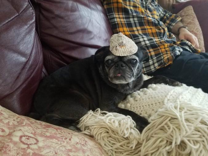 Coco with shell hat.jpg