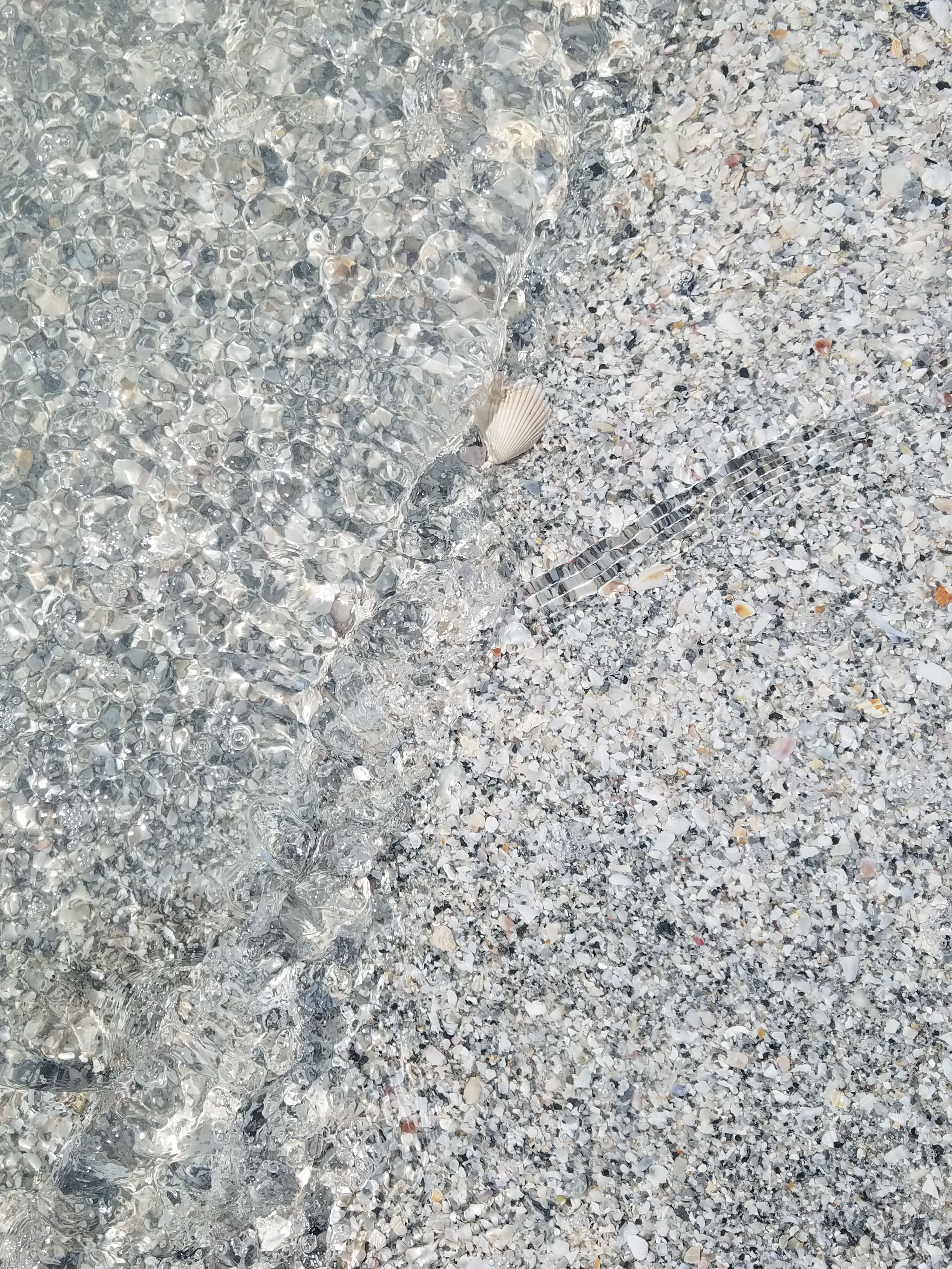 water rushing over sand.jpg