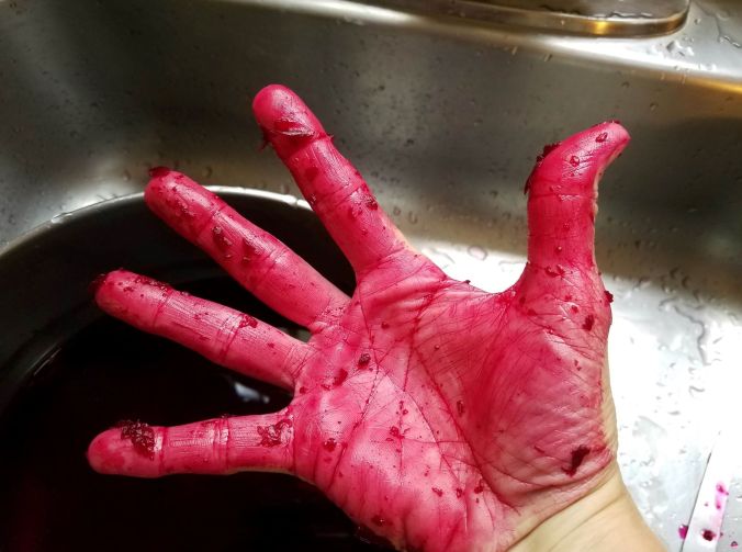 beet hand.2mp.jpg