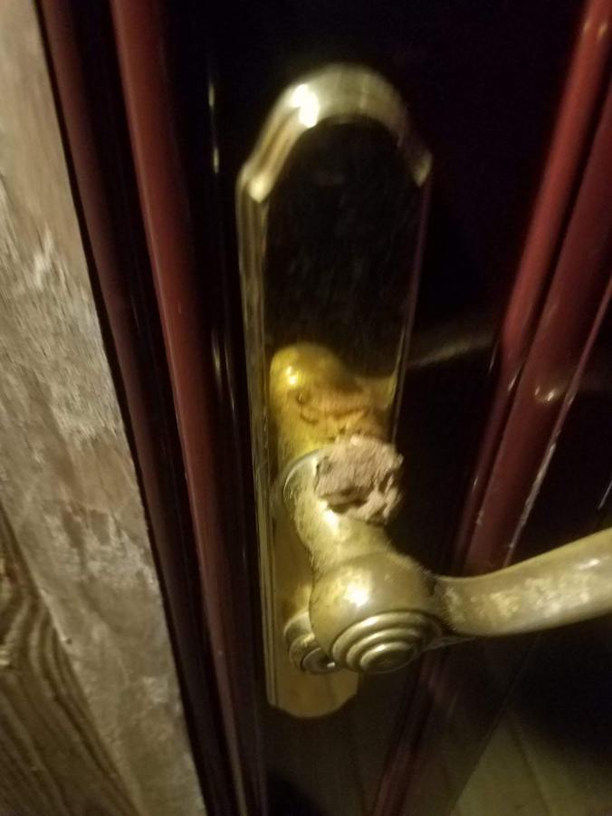 frog on door handle.jpg