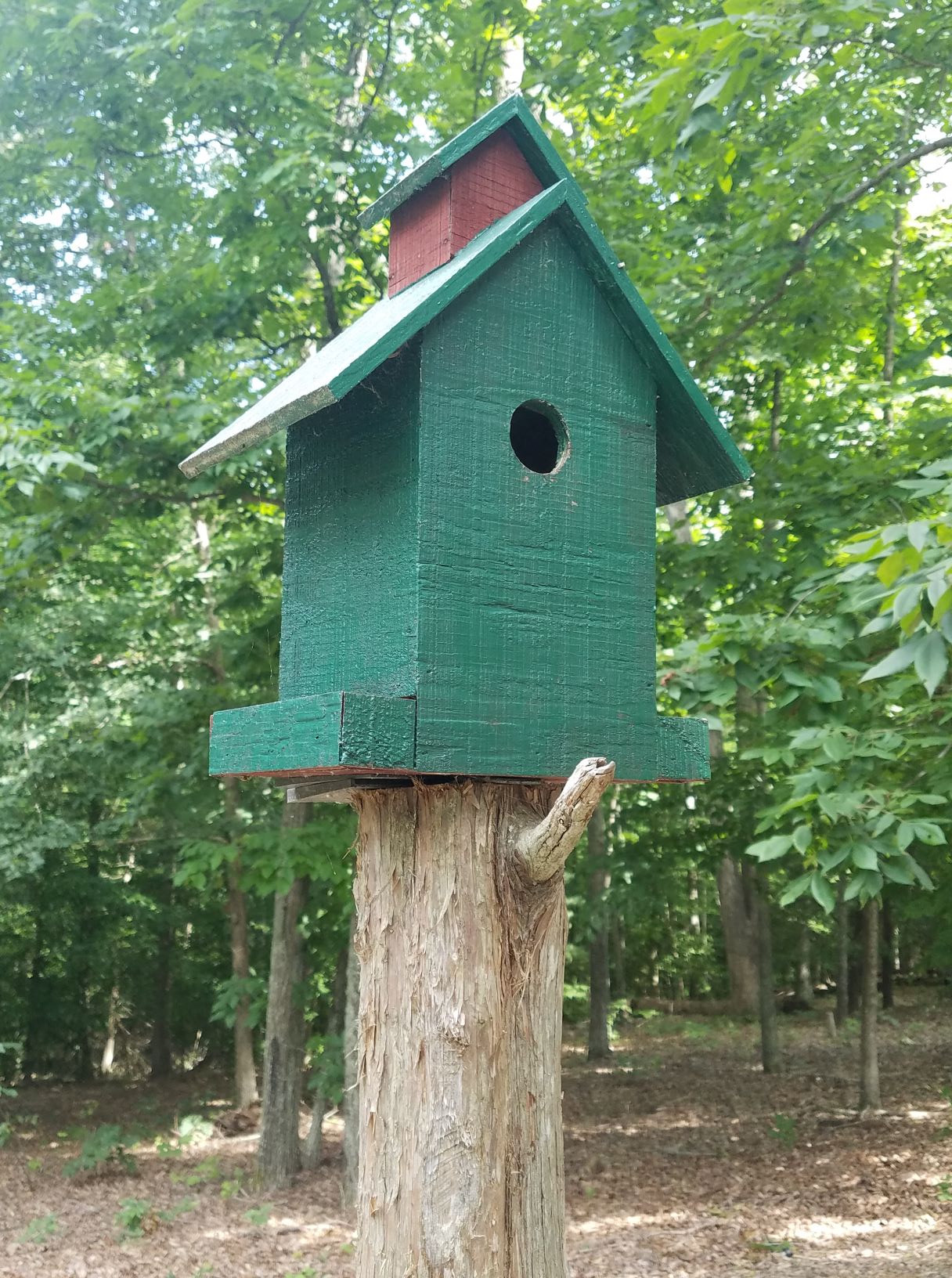 bluebird house.2mp.jpg
