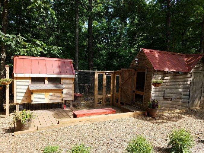 coop June 24 2019.2mp.jpg