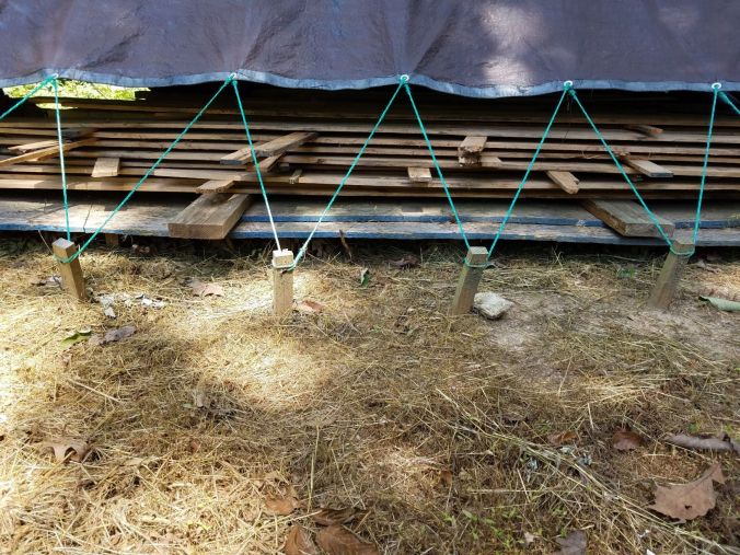 from the side.2mp.jpg