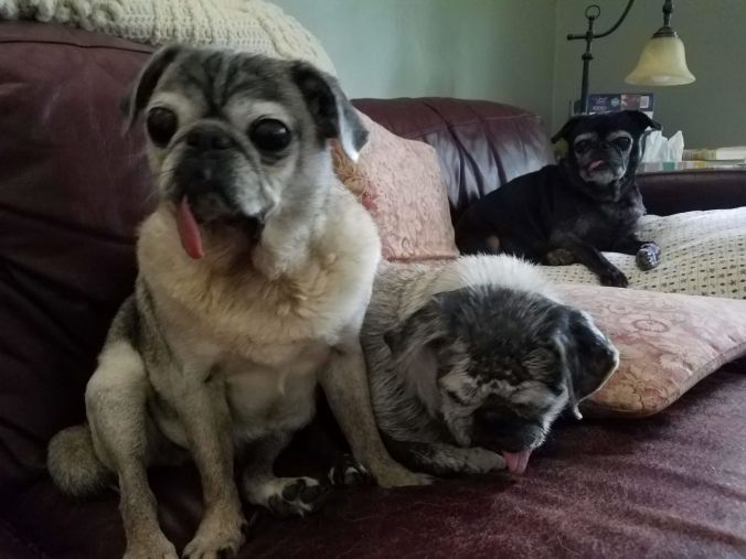 PandP with Coco.2mp.jpg