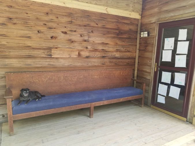 bench and Coco.2mp.jpg